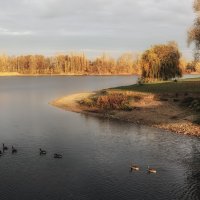 Озеро осенью :: Alexander Andronik
