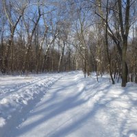 Дорожка в парке :: Наиля 