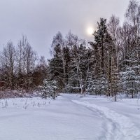 Снежный  и морозный февраль :: Андрей Дворников