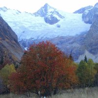 Осень в горах :: Татьяна_Ш 