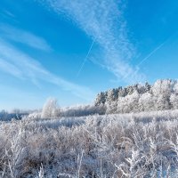 -20, всё в инее, никого вокруг нет, только я один с фотокамерой :: Анатолий Клепешнёв