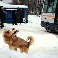 памагите люди добрые... :: Любовь 