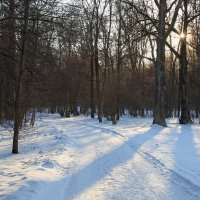 Яснополянскими дорогами в феврале. :: Инна Щелокова