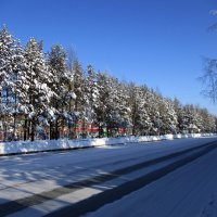 Мороз и солнце :: Наталья Пендюк Пендюк