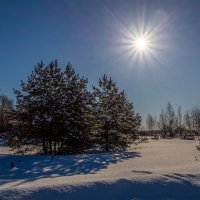 Снежный и морозный февраль # 5 :: Андрей Дворников