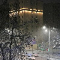 В Ташкенте снег (24 февраля) :: Светлана 