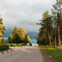 Дорога ведущая в лес :: Анатолий Клепешнёв