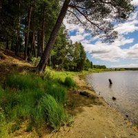 В родной сторонке :: Николай Гирш