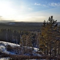 В лесу перед закатом :: Владимир Рыбак