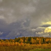 Буря мглою небо кроет :: Дмитрий Балашов