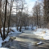 Лесная речка :: Григорий охотник