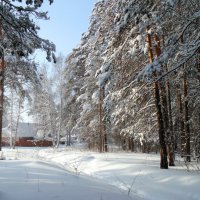 У природы нет плохой погоды ! :: Мила Бовкун