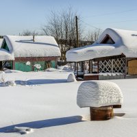 Март. Коллективный сад. :: Сергей l