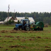 Страда деревенская. :: Елизавета Успенская