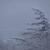 Один день снега :: Наталья (D.Nat@lia)
