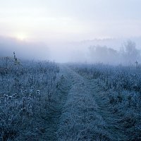 Туманное утро в октябре :: Сергей Курников