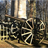 Пушка у памятника в честь сражения при Прейсиш-Эйлау. :: Валерия Комова