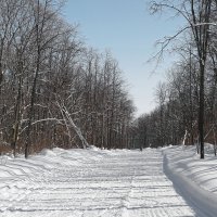 По мартовской лыжне шагая.. :: Андрей Заломленков