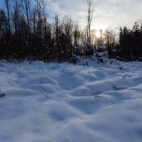 последний снег :: vladimir 