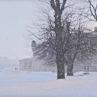 Мартовский снегопад :: Елена 