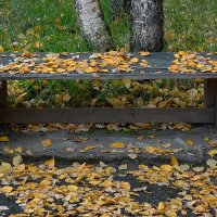 Присела осень на скамейку.. :: Леонид Балатский