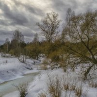 Река Шередарь зимой :: Сергей Цветков