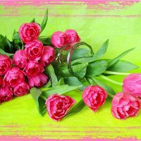 Тюльпаны дают салют весне! :: Ольга Довженко