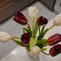 Тюльпаны :: Ольга Скляренко