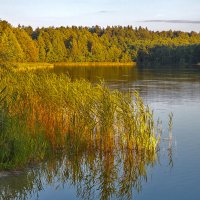 Озеро Белое :: Дмитрий Балашов