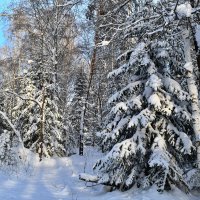 Там чудеса, там леший бродит... :: Спартак Краснопевцев