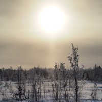 Зимнее солнце :: Влад Владов