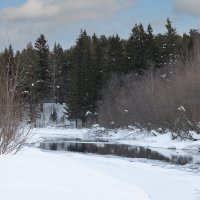 Ранняя весна :: Сергей Крылов