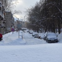 После снегопада :: Владимир Перваков