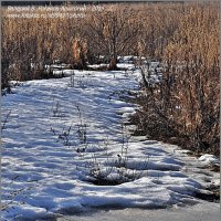 МЕСЯЦ МАРТ :: Валерий Викторович РОГАНОВ-АРЫССКИЙ