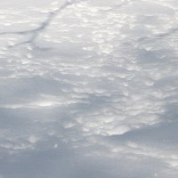 Птичьи письмена на мартовском снеге :: Надежд@ Шавенкова