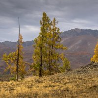 Осень в горах :: Виктор Четошников