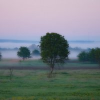 Утро . :: Анатолий Святой 