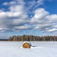 Один в поле-воин :: Алексей Сметкин