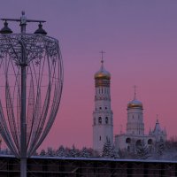 Холодным утром :: Евгений Седов