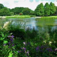 Planten un Blomen Hamburg :: Nina Yudicheva