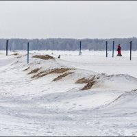 Прогулка по пляжу :: Александр Тарноградский