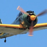 Nakajima Ki-43 Hayabusa (Oscar) :: Sergey Krivtsov