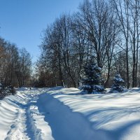 *** :: Владимир Безбородов