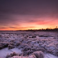 Закат :: Роман Грушевский