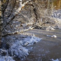 Лесной прудик зимой :: Анатолий Мо Ка