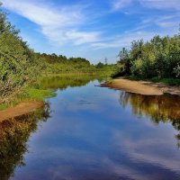 Летние зарисовки. :: Восковых Анна Васильевна 