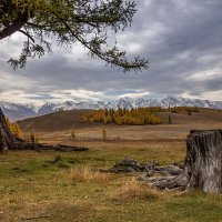 Северо-Чуйский хребет :: Виктор Четошников