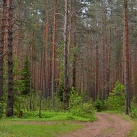 КОМАНДИРОВКА НА ОСТРОВ. :: Виктор Осипчук