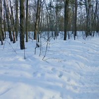 Снег в марте оседает :: Raduzka (Надежда Веркина)
