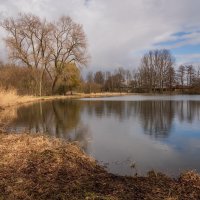 Весенний сон :: Николай Гирш